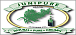 All Natural Bug Spray